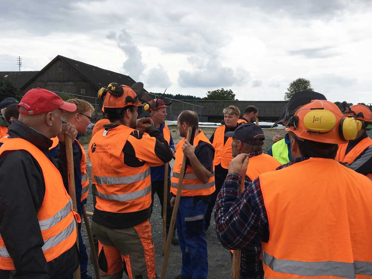 Treibjagd auf Wildschweine