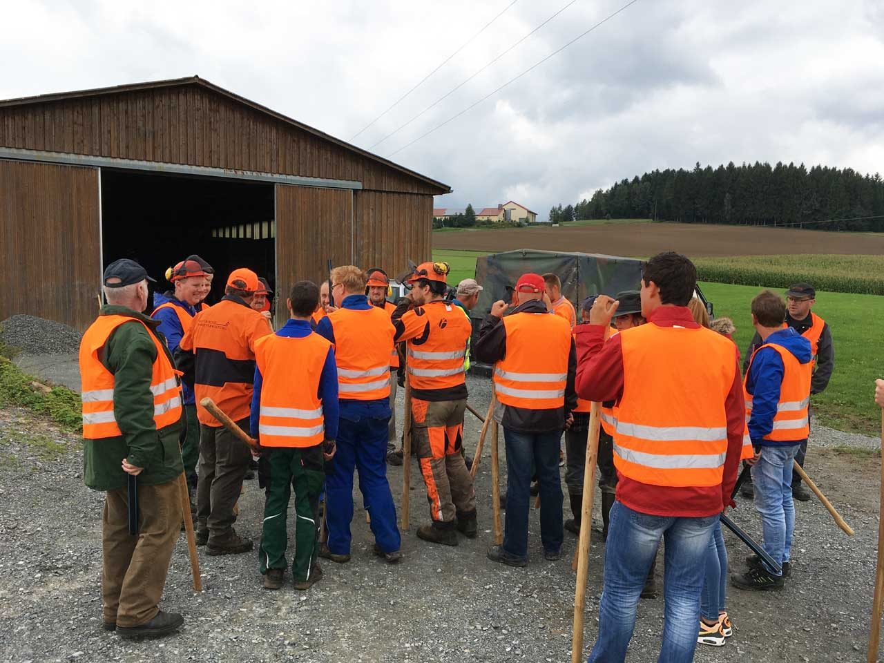 Treibjagd auf Wildschweine