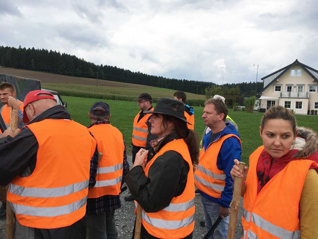 Treibjagd auf Wildschweine