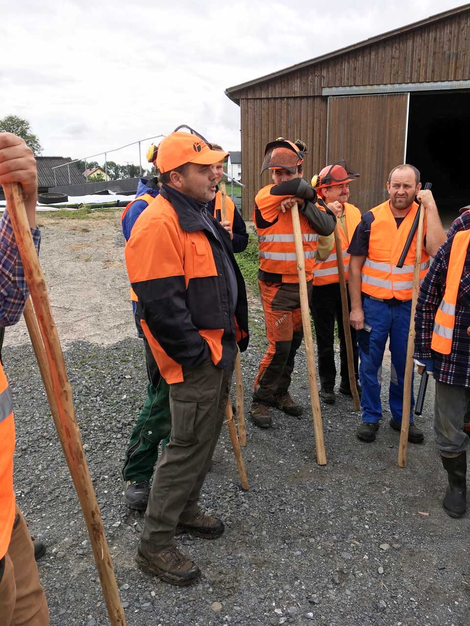 Treibjagd auf Wildschweine