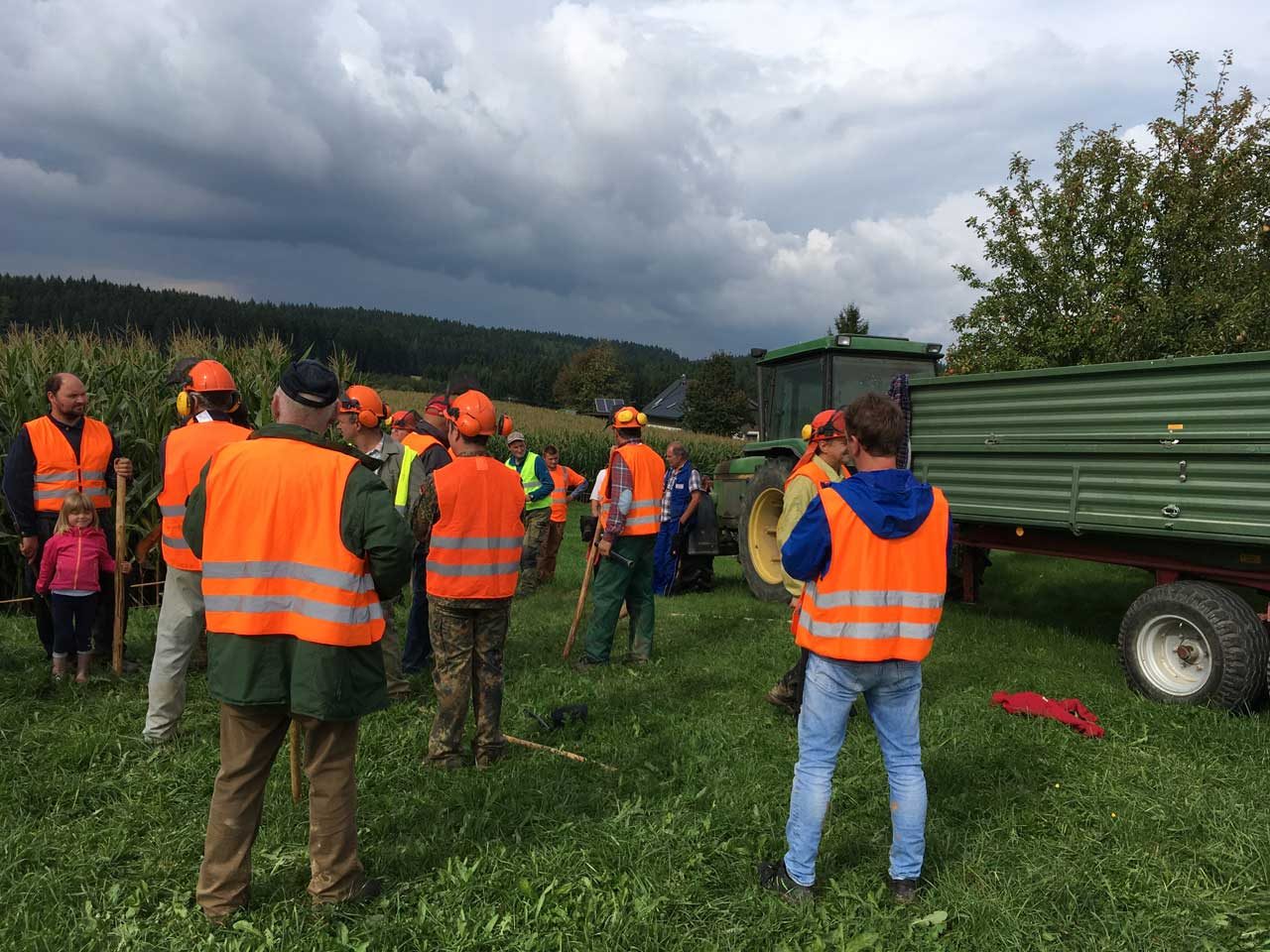 Treibjagd auf Wildschweine