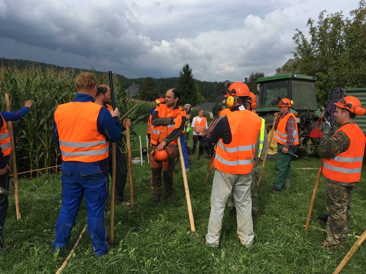 Treibjagd auf Wildschweine