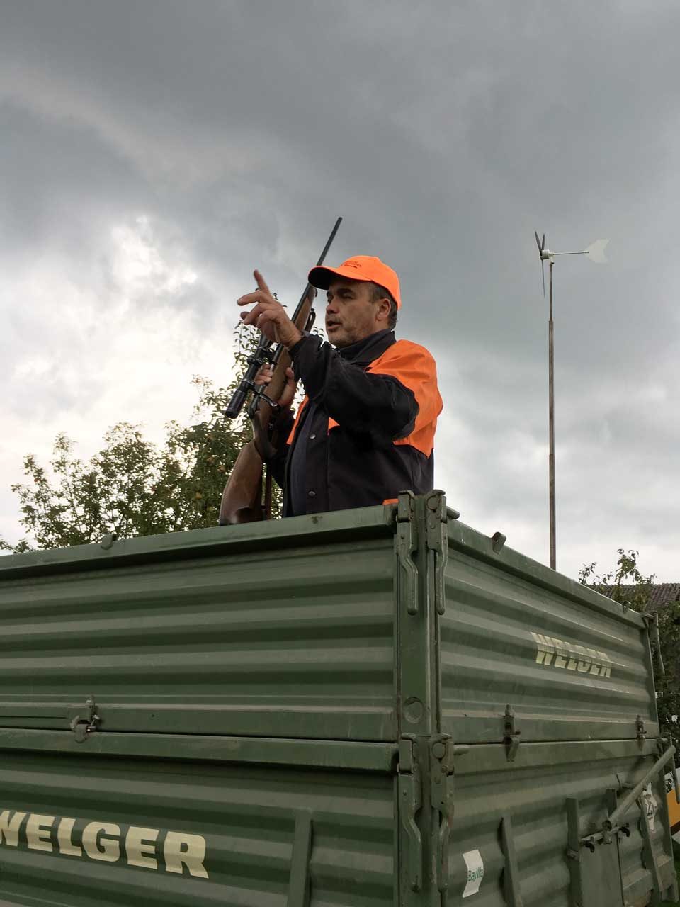 Treibjagd auf Wildschweine