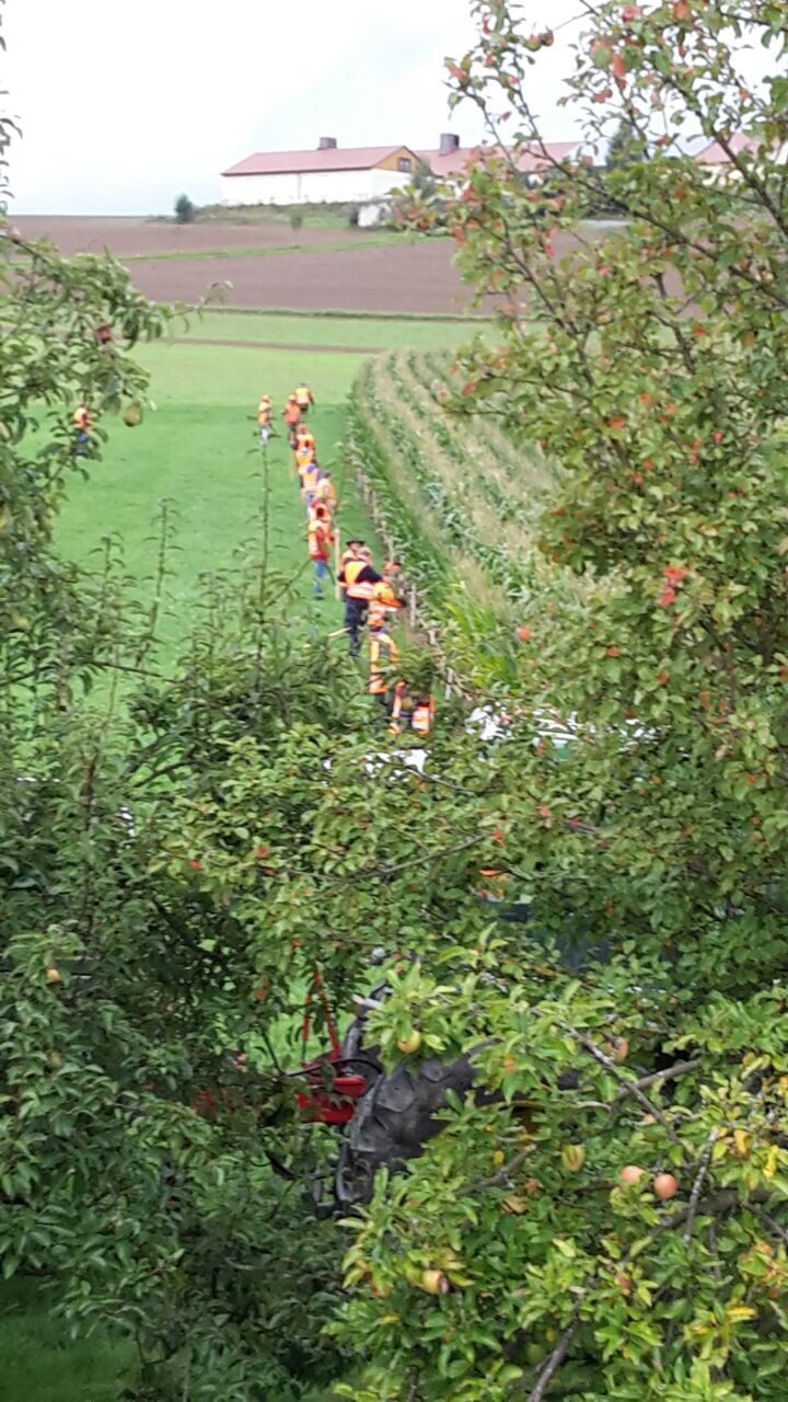 Treibjagd auf Wildschweine